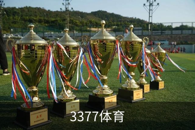 3377体育公司简介